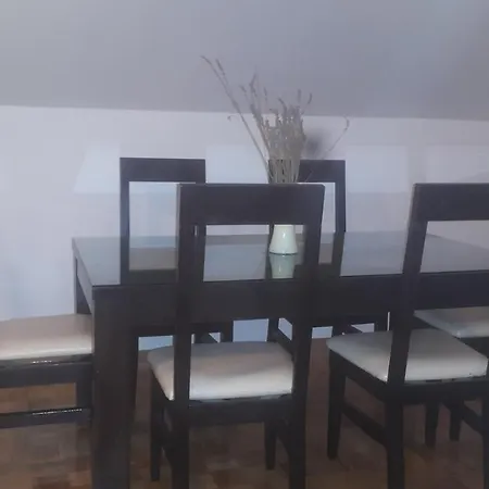 Apartman Nedic شقة دوبوي