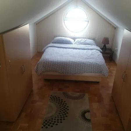 Nedic Doboj