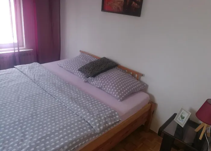Apartman Nedic شقة