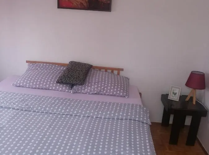 Apartman Nedic شقة دوبوي