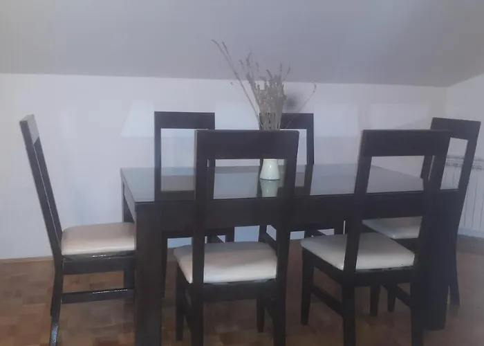 Apartman Nedic شقة دوبوي